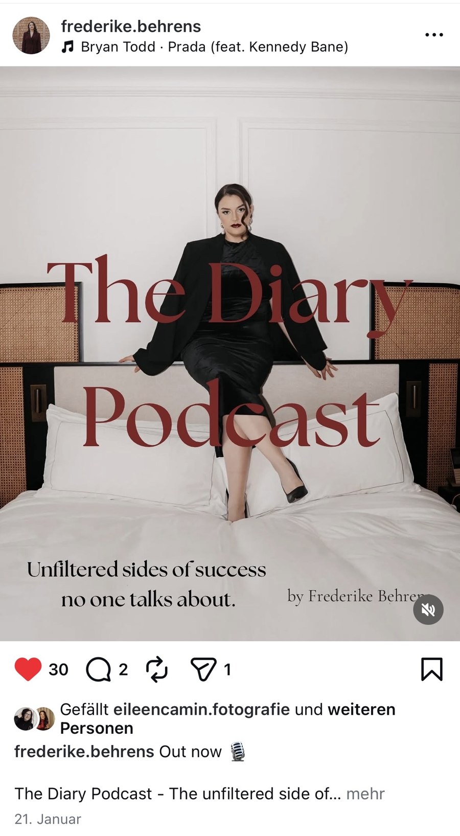 The Diary Podcast von Frederike Behrens · das Cover ist genau dieses Bild aus der Experience