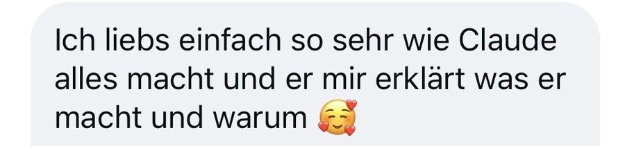Kundinnennachricht: Claude erkl&auml;rt mir, was er macht und warum