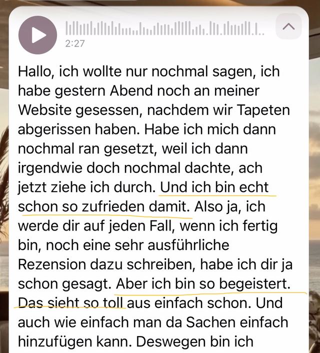 Sprachnachricht-Transkript: Ich bin echt schon so zufrieden damit, ich bin so begeistert